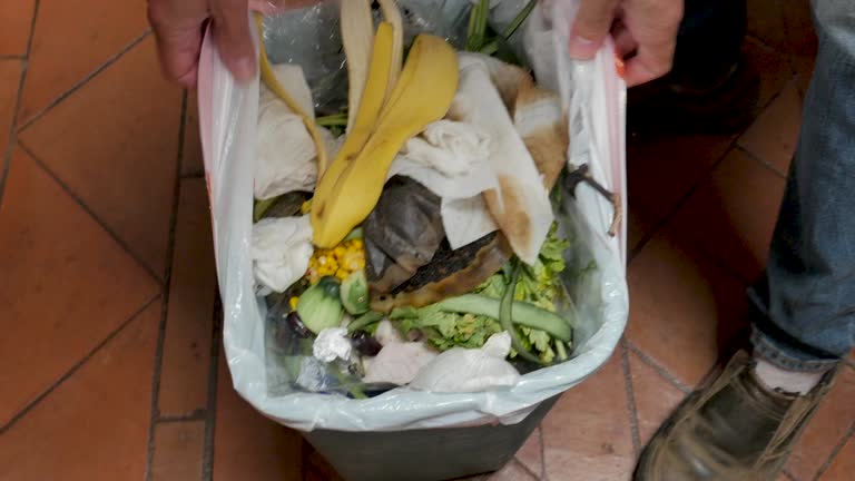 Best Property Management Cleanouts  in North Gates, NY